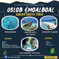Oslob and Moalboal Round South Tour